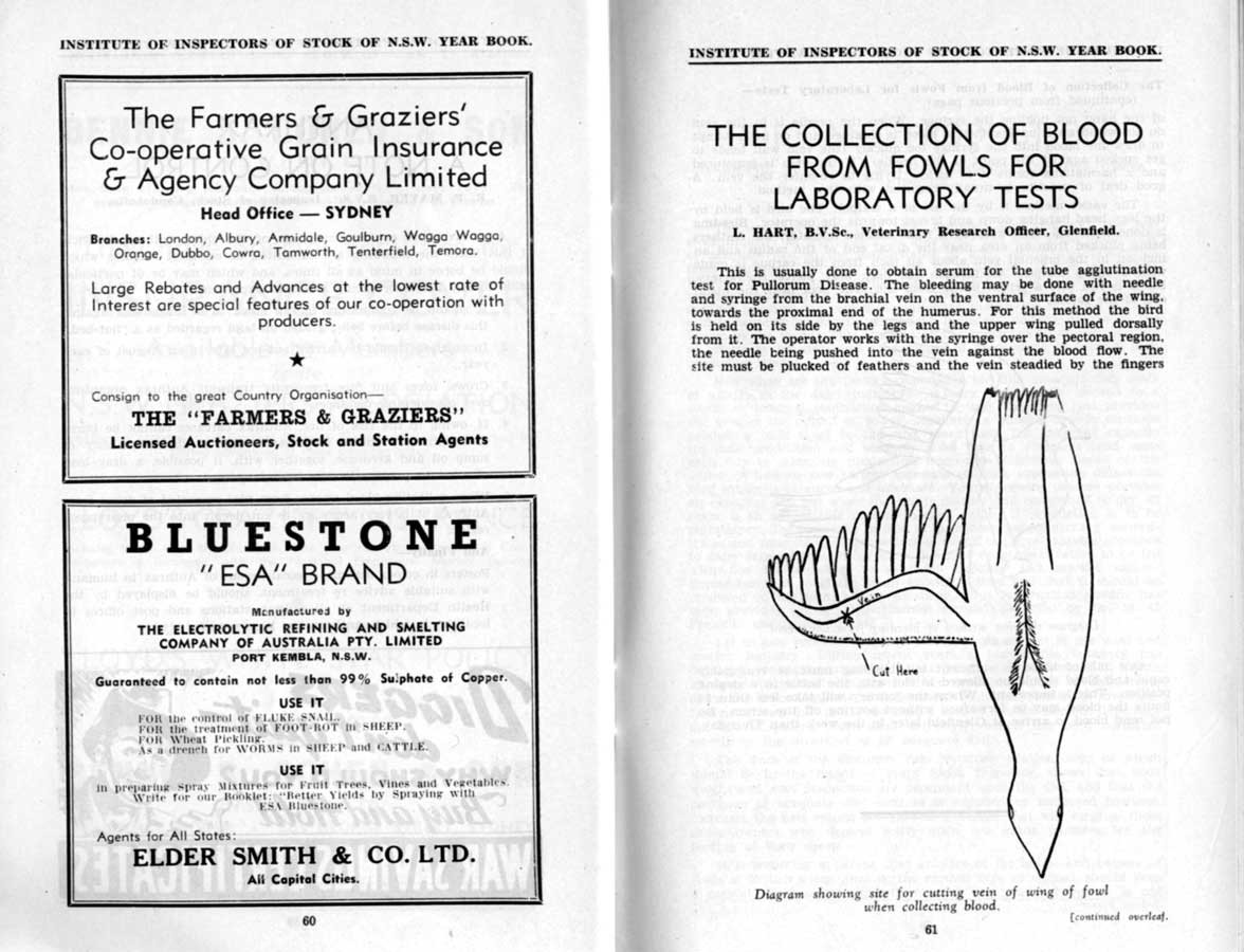 1944 Page 60 61